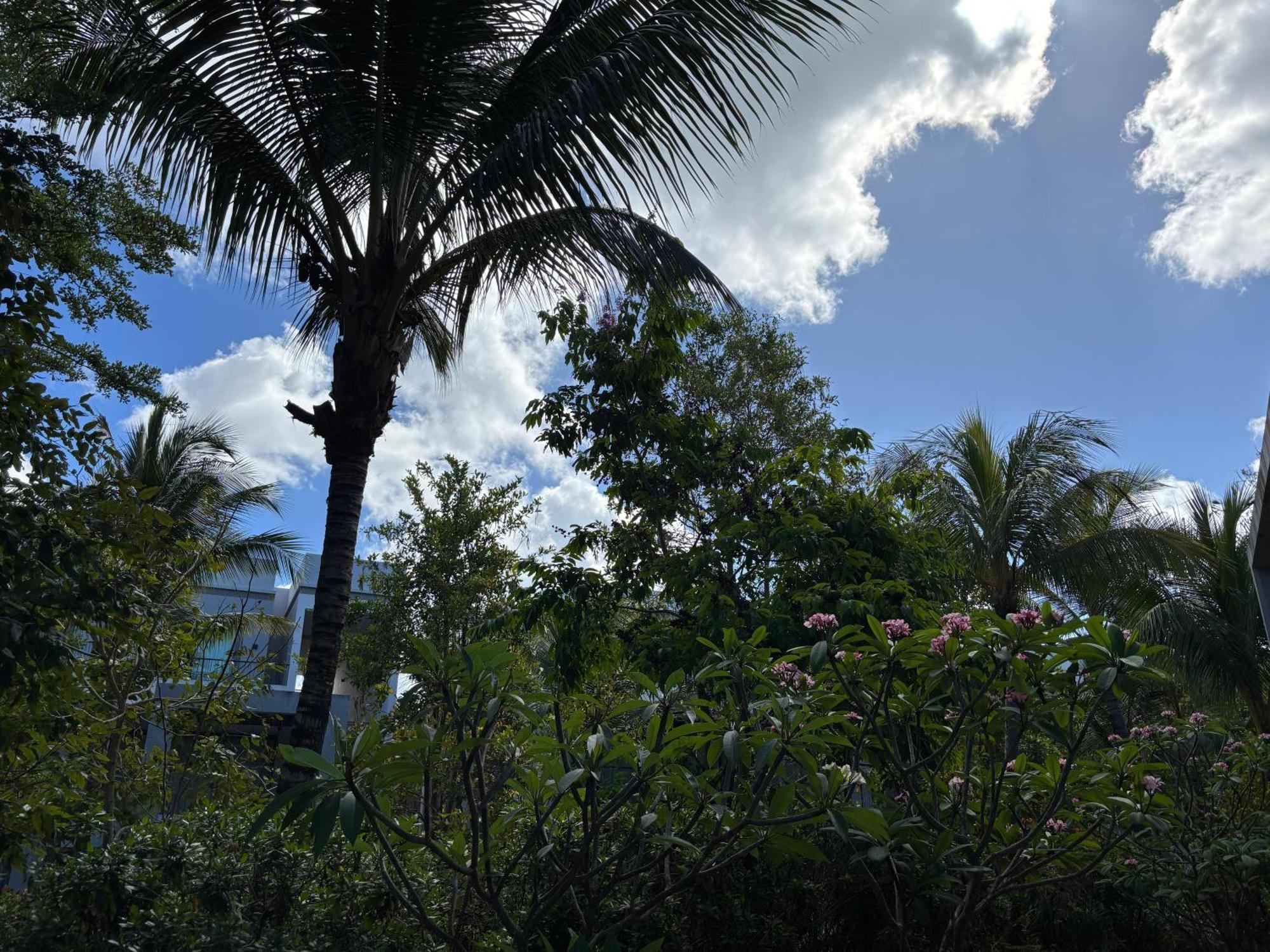 Mont Choisy Le Parc By Pam Golding Apartment Ngoại thất bức ảnh